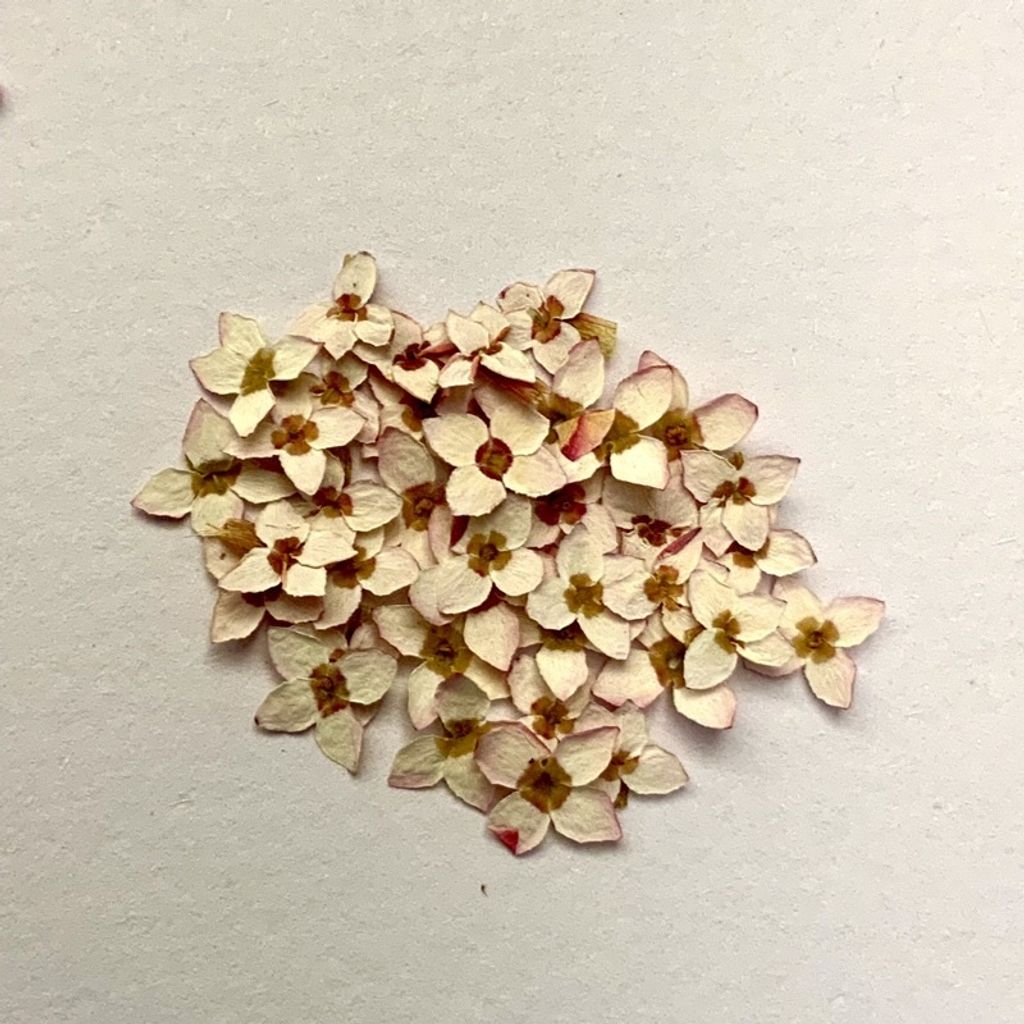 tw-11134201-23030-u9nwdfexohov48