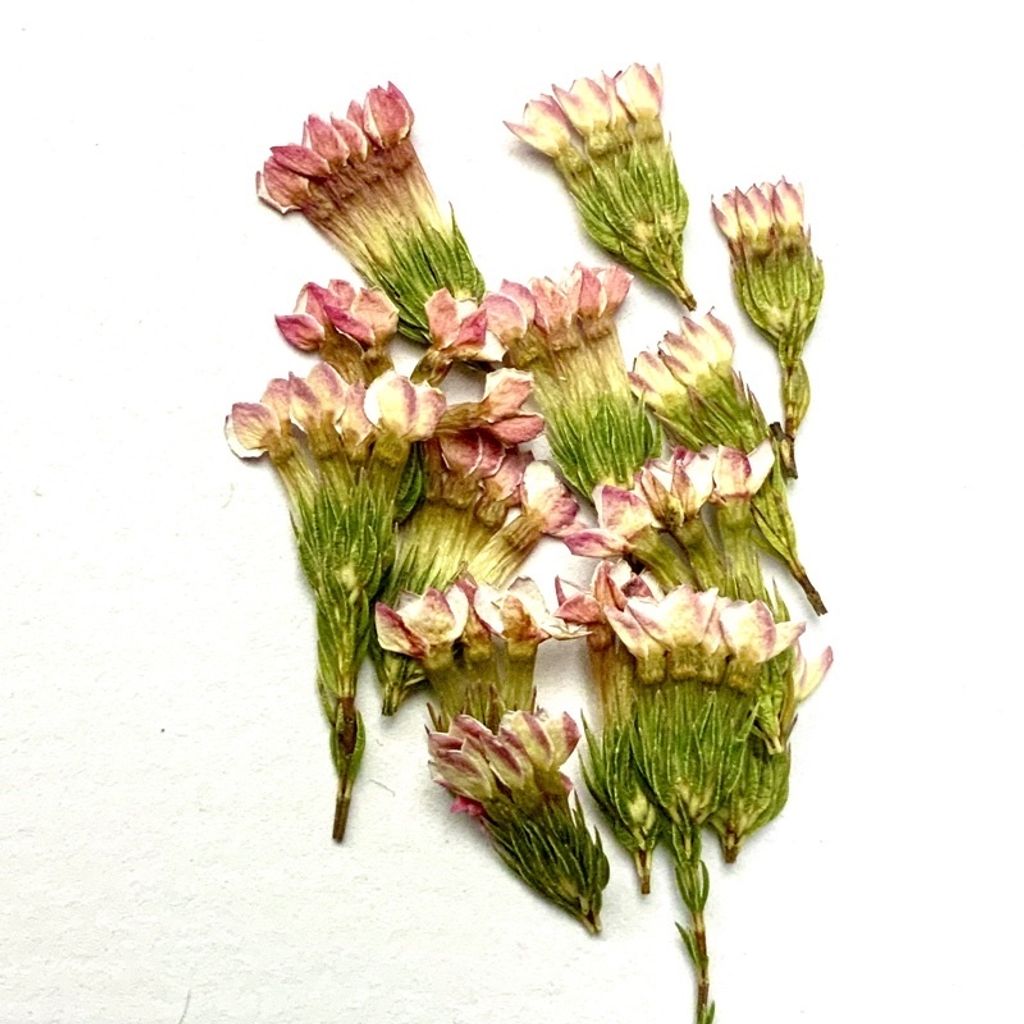 tw-11134201-23030-z2ovndpxohov2c