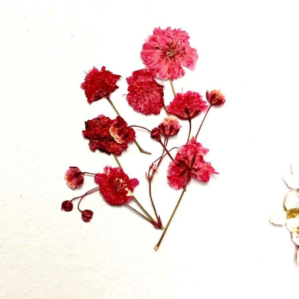 tw-11134201-23030-iv6j6i1xohov6a