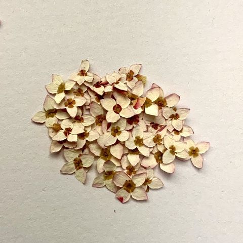 tw-11134201-23030-8r368nvmohov3f