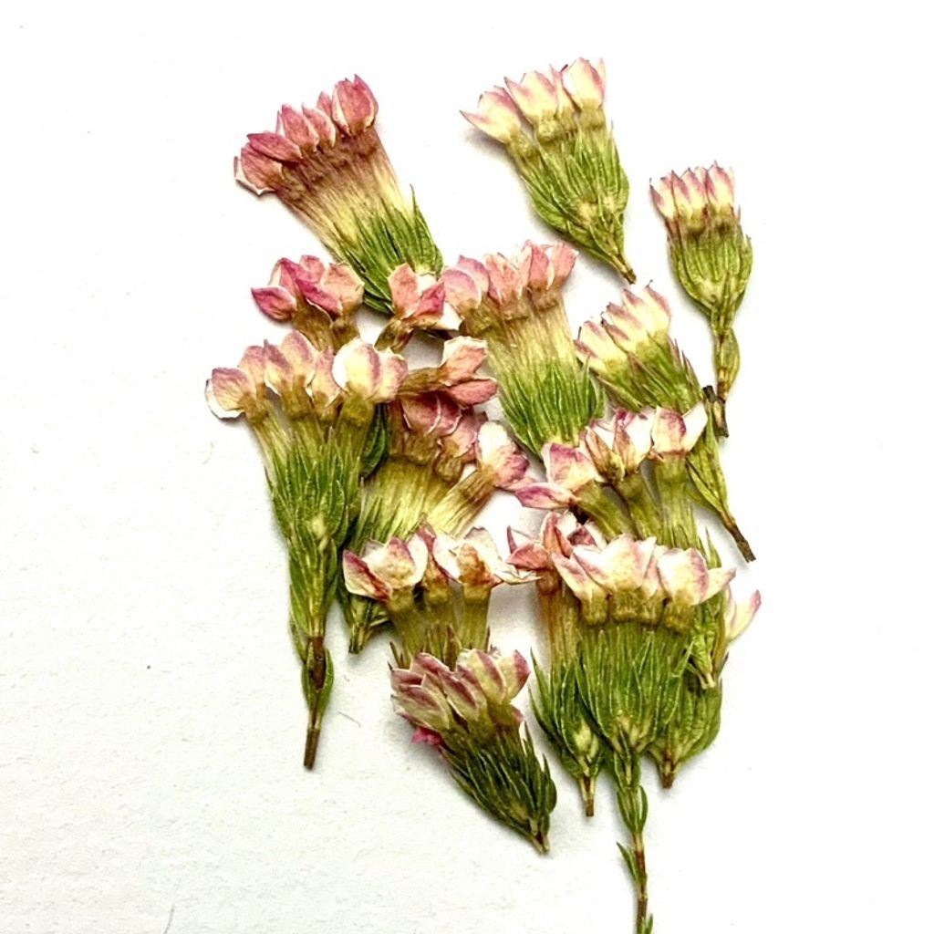 tw-11134201-23030-ijsdyivmohov17