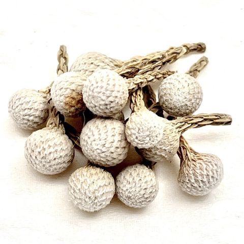 tw-11134201-23020-5xc8iz0vuznv22