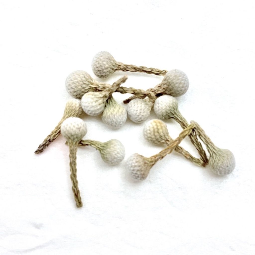 tw-11134201-23020-o2wg2r0vuznv76