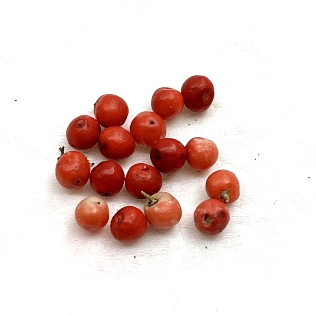 tw-11134201-23020-e5xinq0vuznva5