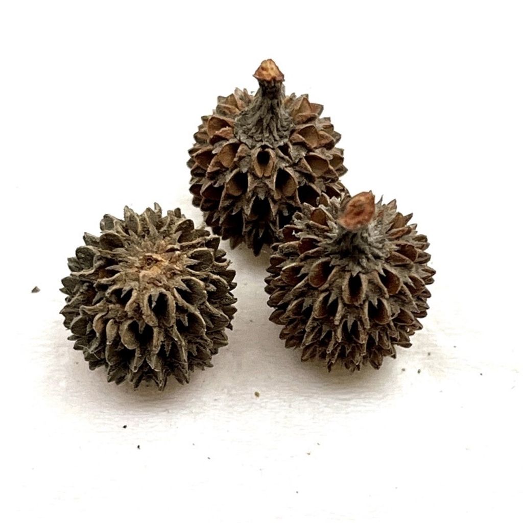 tw-11134201-23020-egz85x0vuznvec