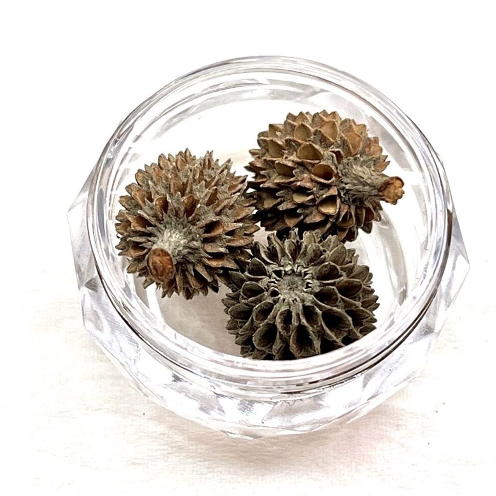 tw-11134201-23020-3qj6sz0vuznv53