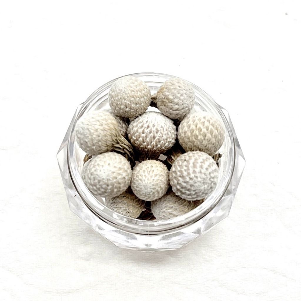 tw-11134201-23020-c967oy0vuznv29