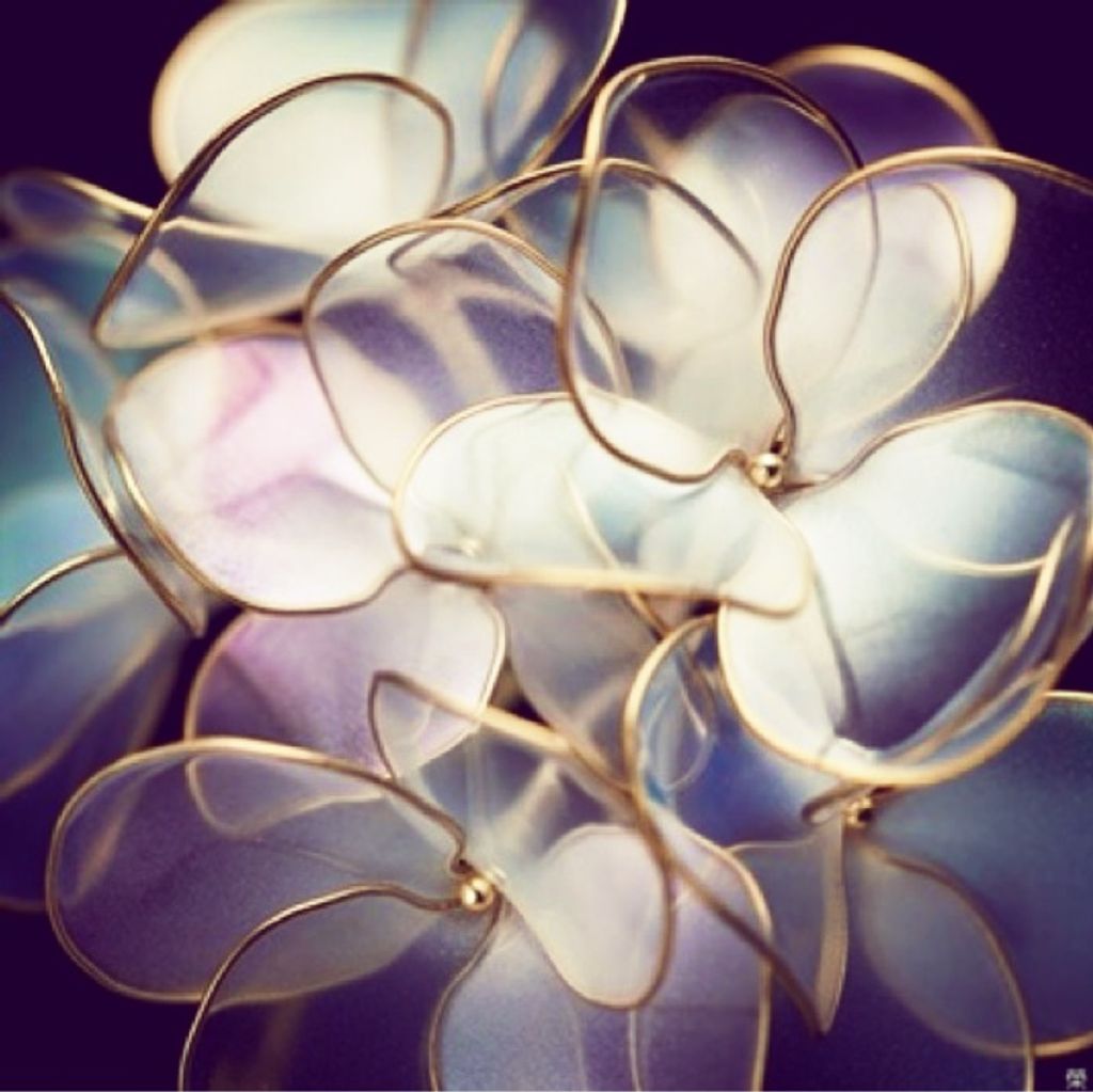 ccd5d01b01d56ada392444db37265f55