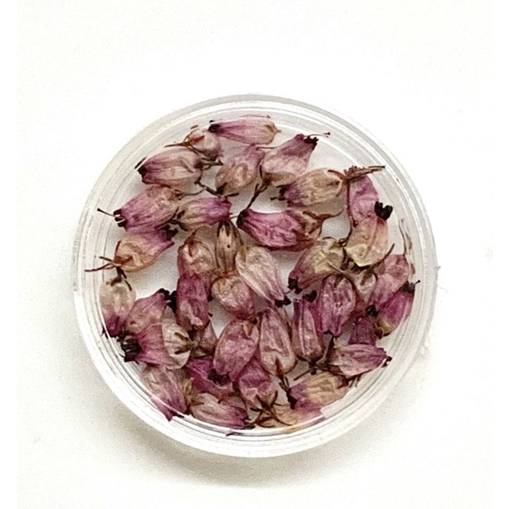 sg-11134201-23010-1w5c2nl3ppmv56