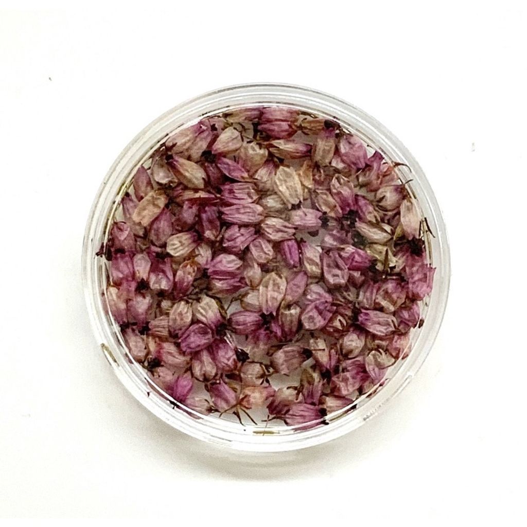 sg-11134201-23010-1arly813ppmv53