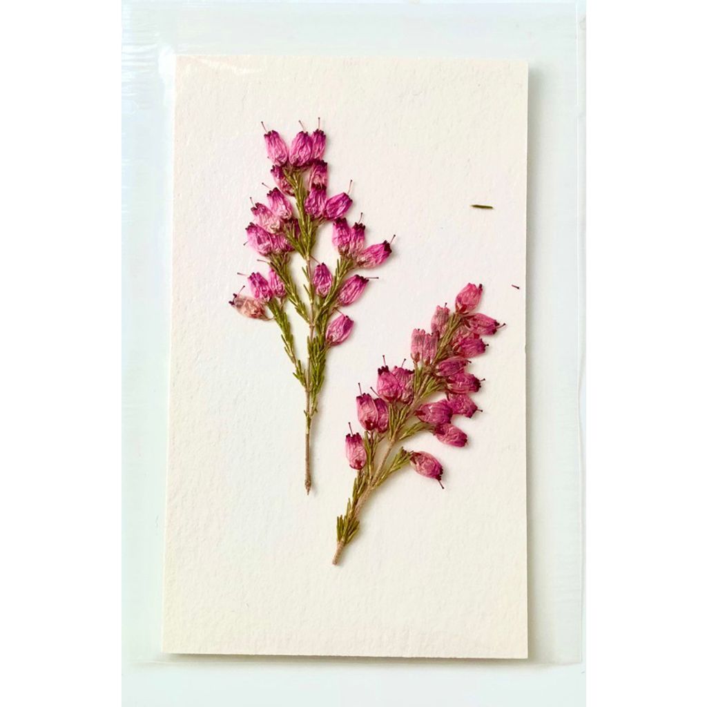 tw-11134207-23030-760iykgl8aov83