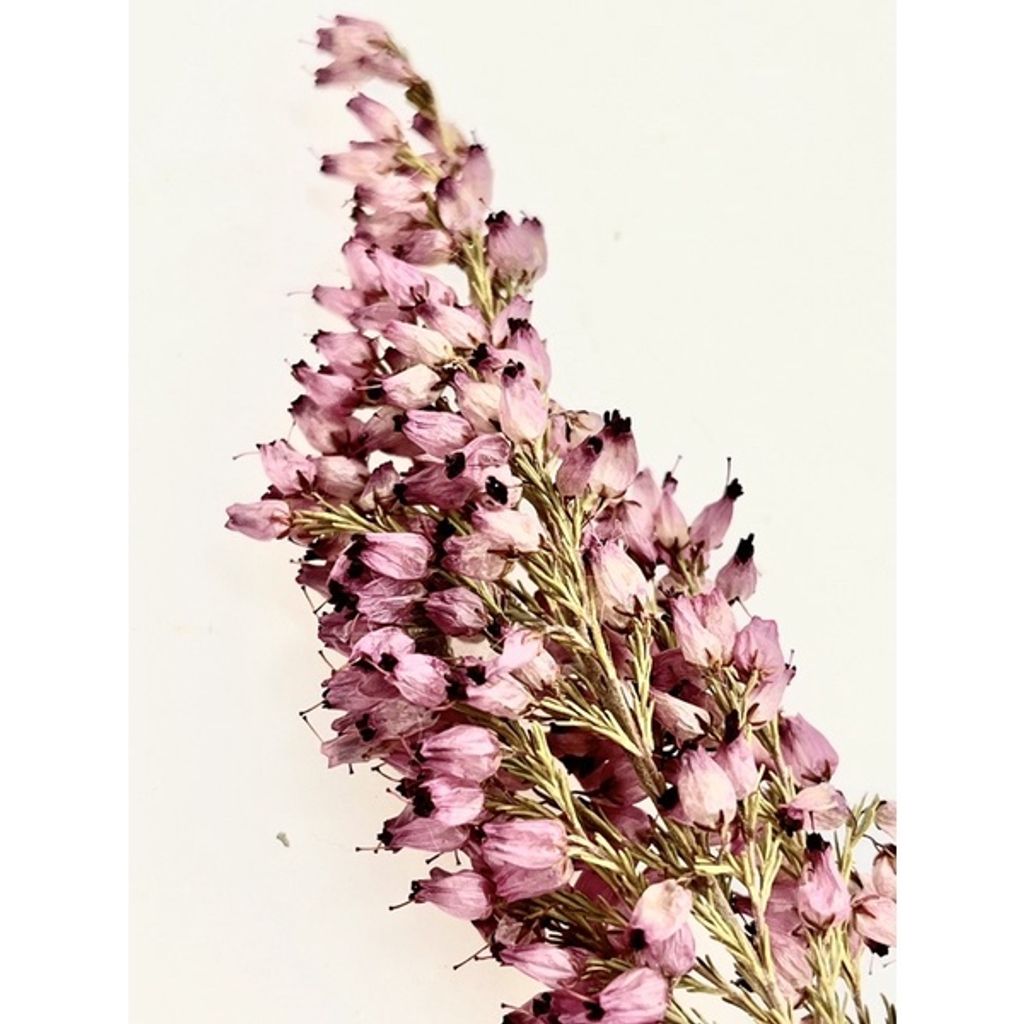 sg-11134201-23020-l69v6vpkcfnvd3