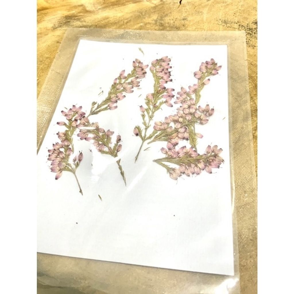 sg-11134201-23010-00pog5muppmv78