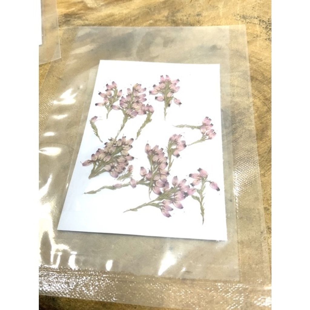 sg-11134201-23010-g8pog5muppmvc7