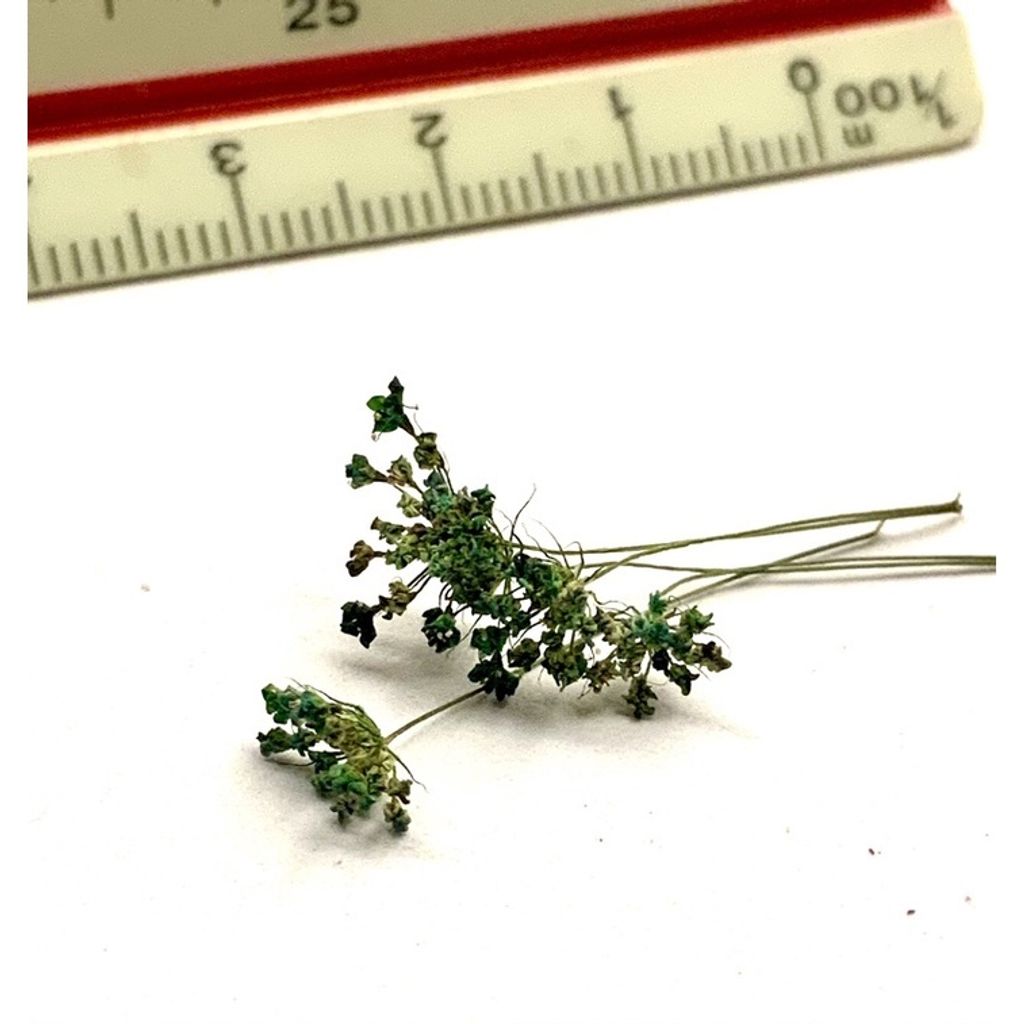 tw-11134201-23030-g4kuqzm63bov34