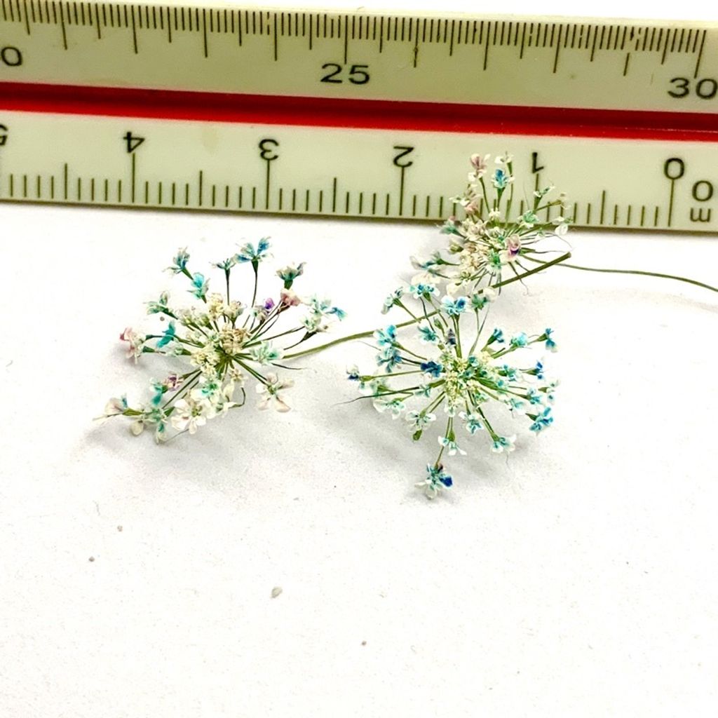 tw-11134201-23030-yny4dv463bovb8