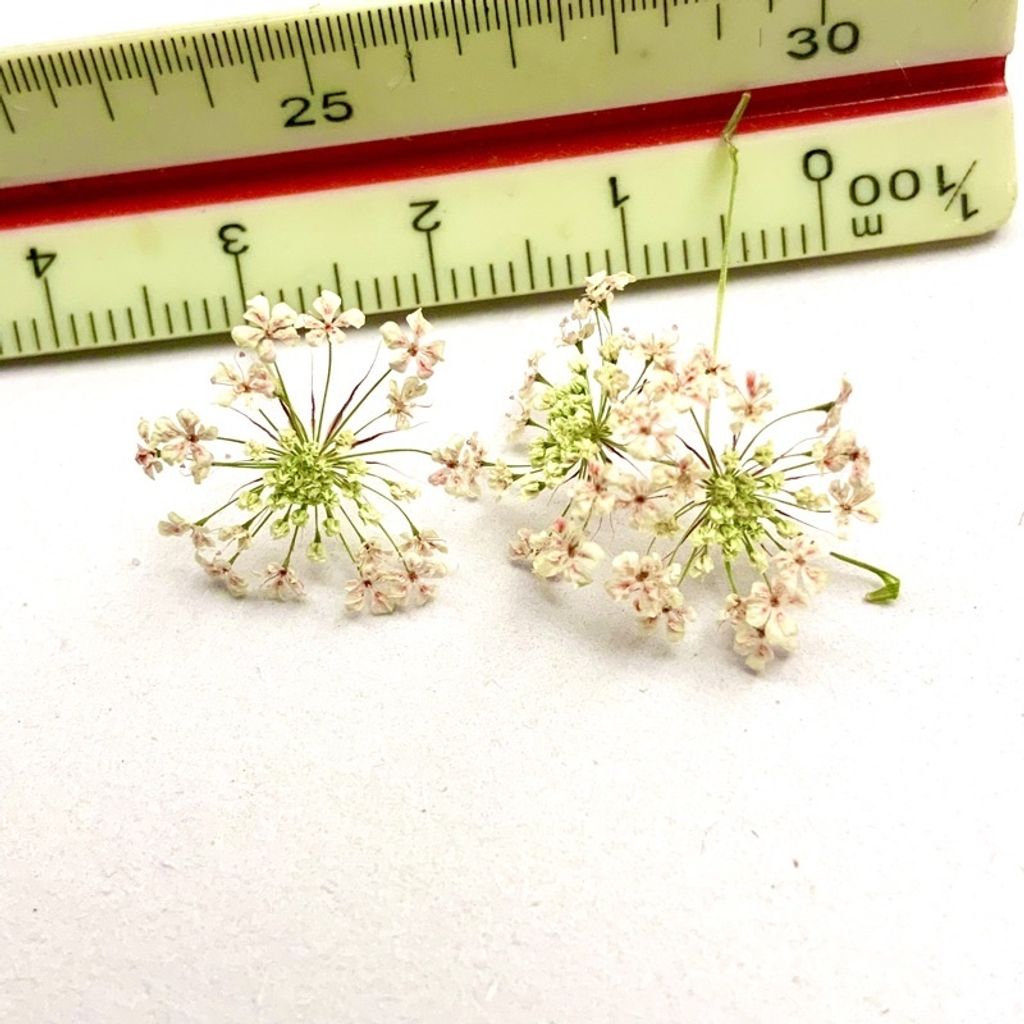 tw-11134201-23030-7xbjp5p73bovcf