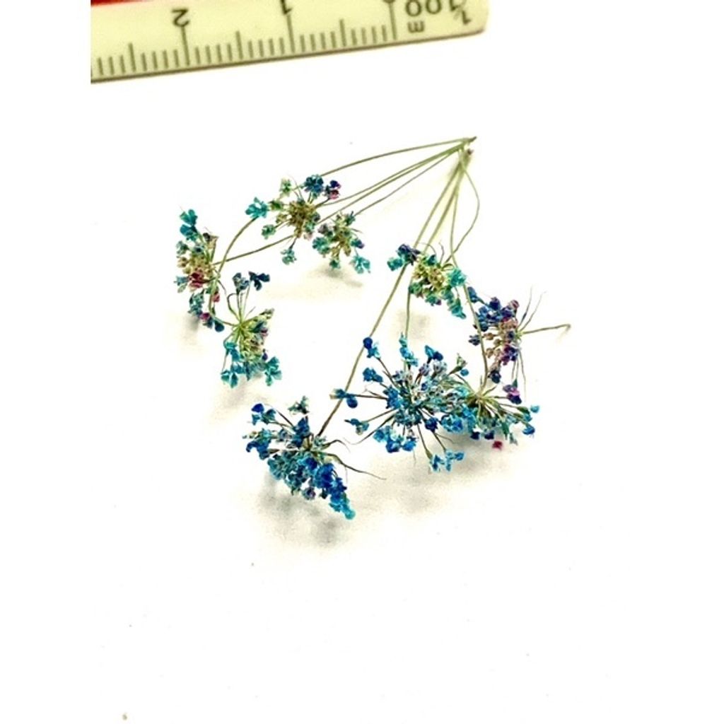 tw-11134201-23030-mym9tq513bov6b