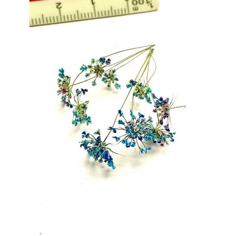 tw-11134201-23030-mym9tq513bov6b