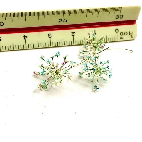 tw-11134201-23030-ap8c58d23bov02