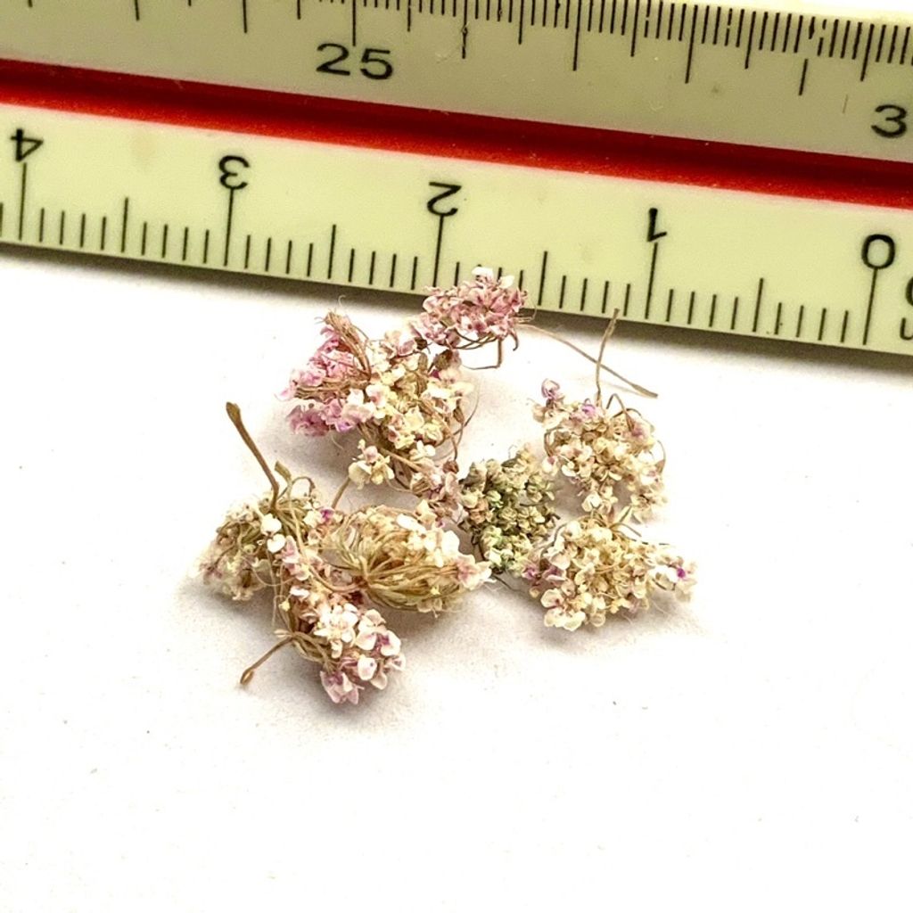 tw-11134201-23030-5l8u19e23bov37