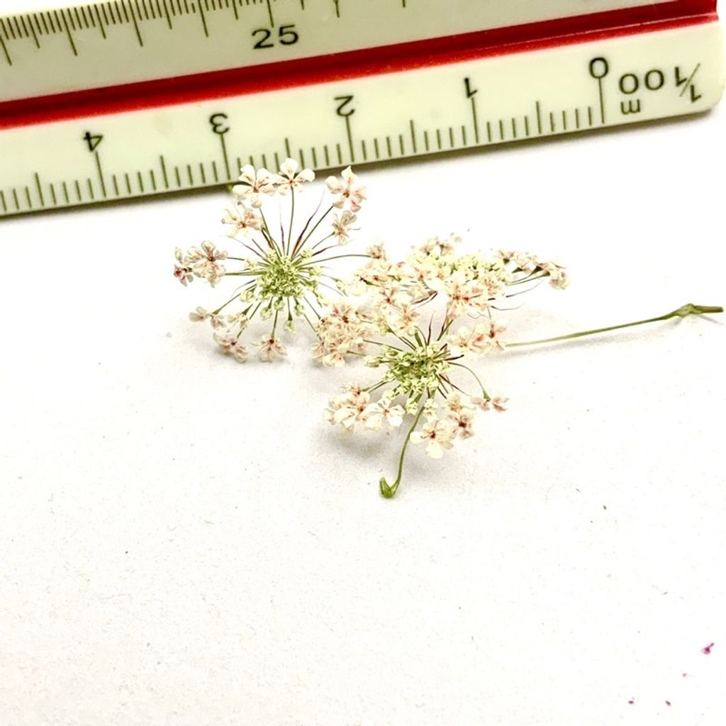 tw-11134201-23030-g41ichf23bova4