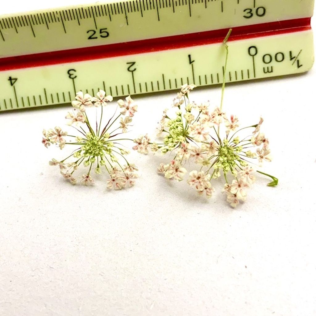 tw-11134201-23030-wnv90nf23bov3e