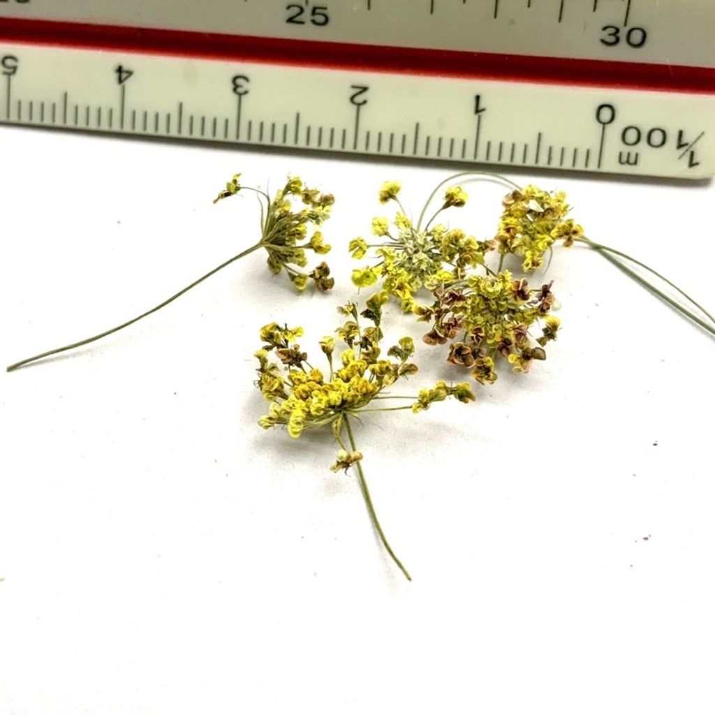 tw-11134201-23030-ol19kze23bove9