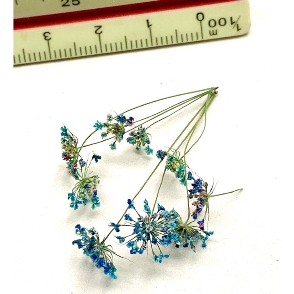 tw-11134201-23030-ugmimhf23bov9c