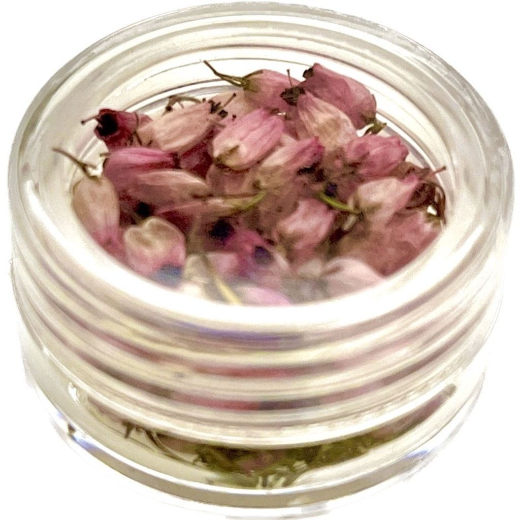 19c6438aa8379e39a17fb8c0bbdb2229