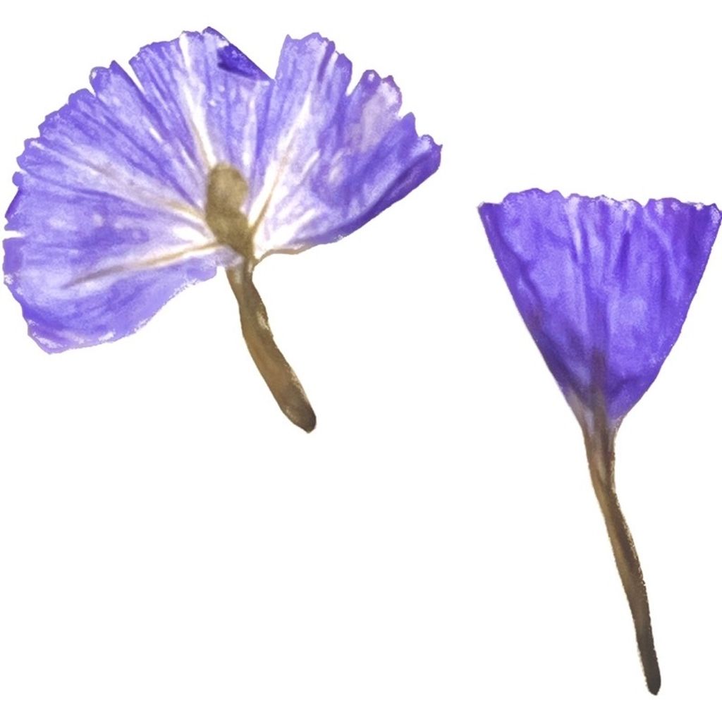 sg-11134201-22100-on5z3zy1toiv13