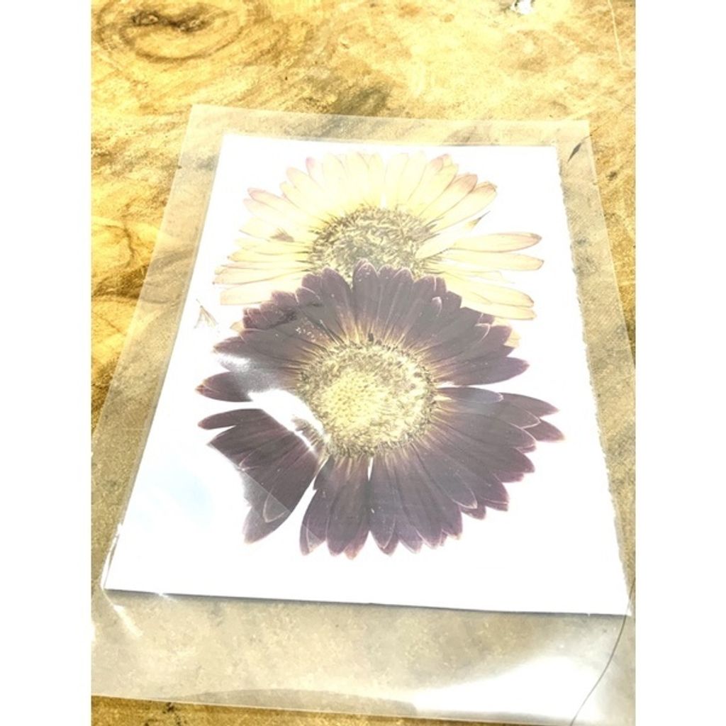 sg-11134201-23010-s1hdr2mi3omv2e