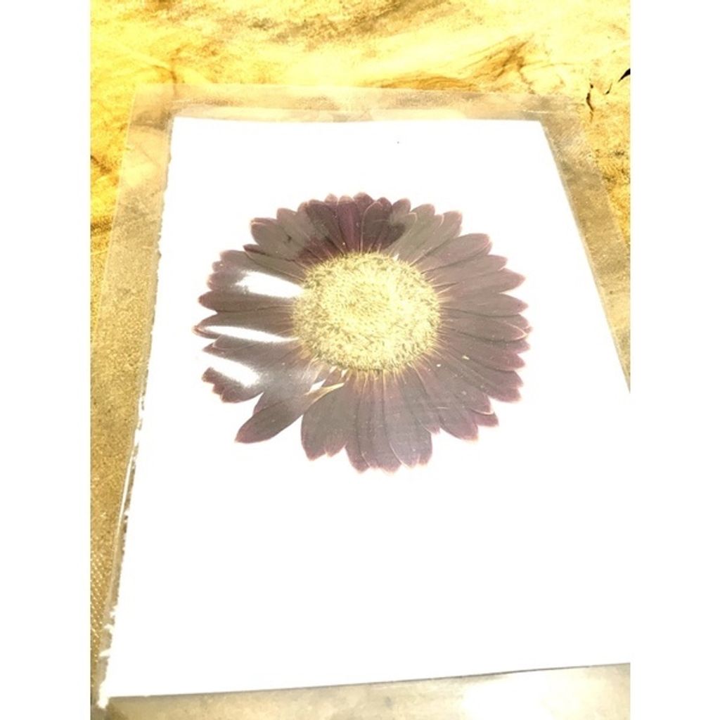 sg-11134201-23010-wz7kw2si3omv95