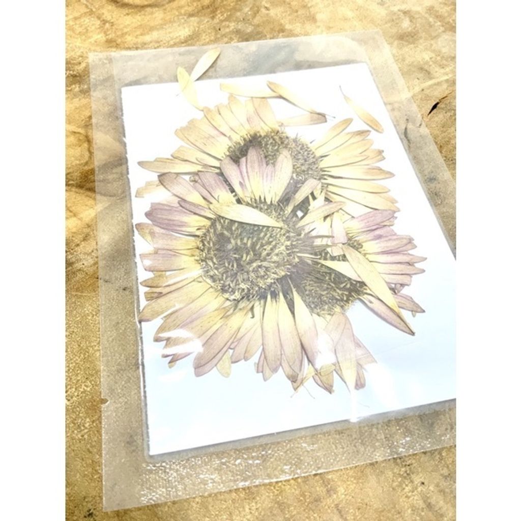 sg-11134201-23010-2k7e91ej3omvfd