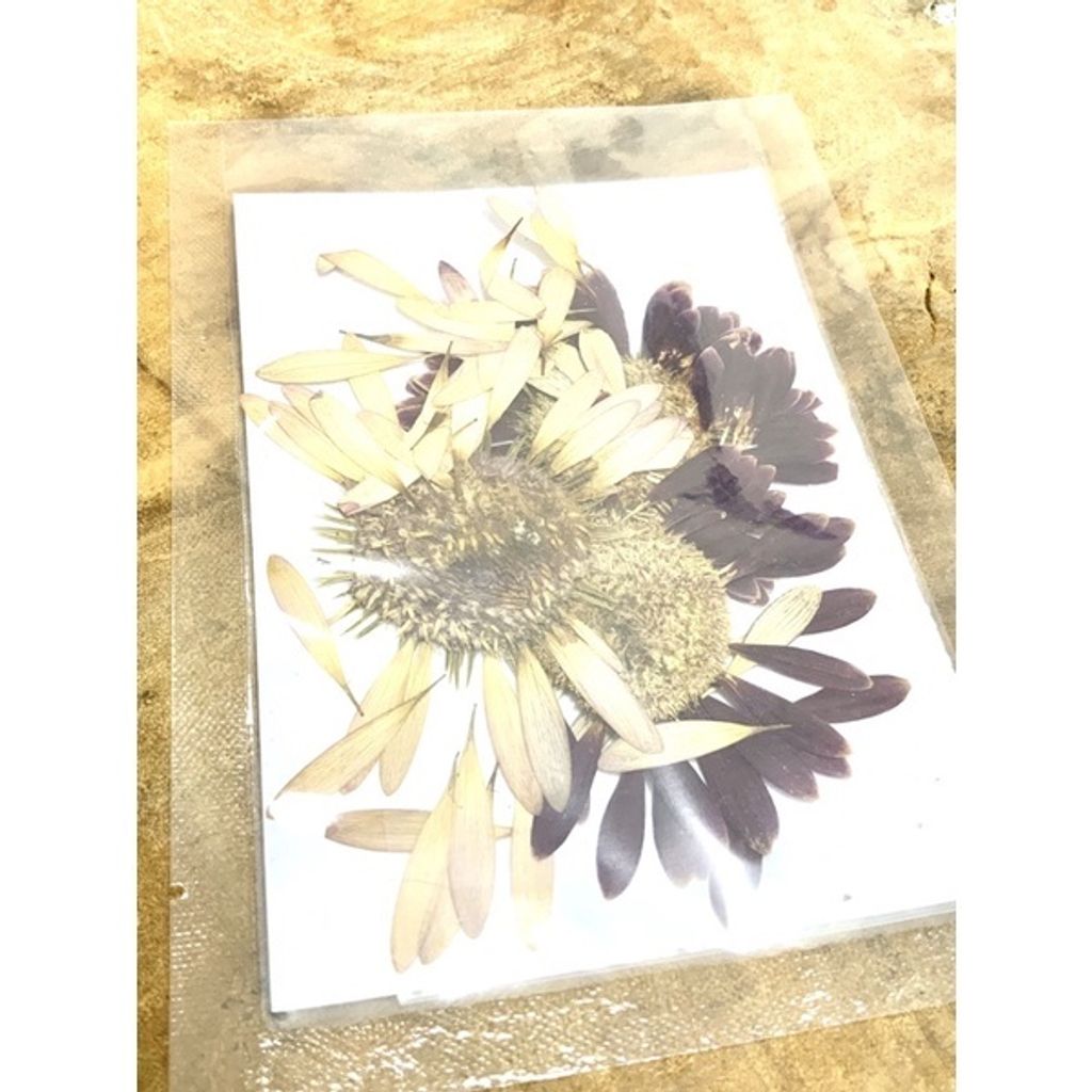 sg-11134201-23010-1mfqdvlk3omv48