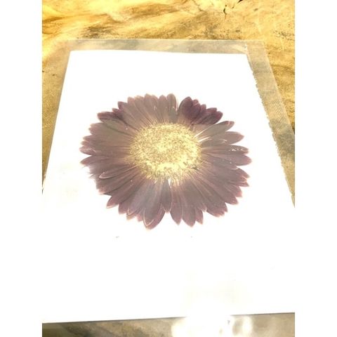 sg-11134201-23010-0sh5nkln3omvc4