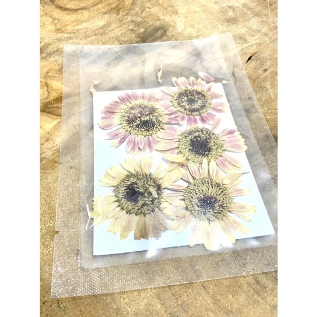 sg-11134201-23010-4ytv7emn3omv83