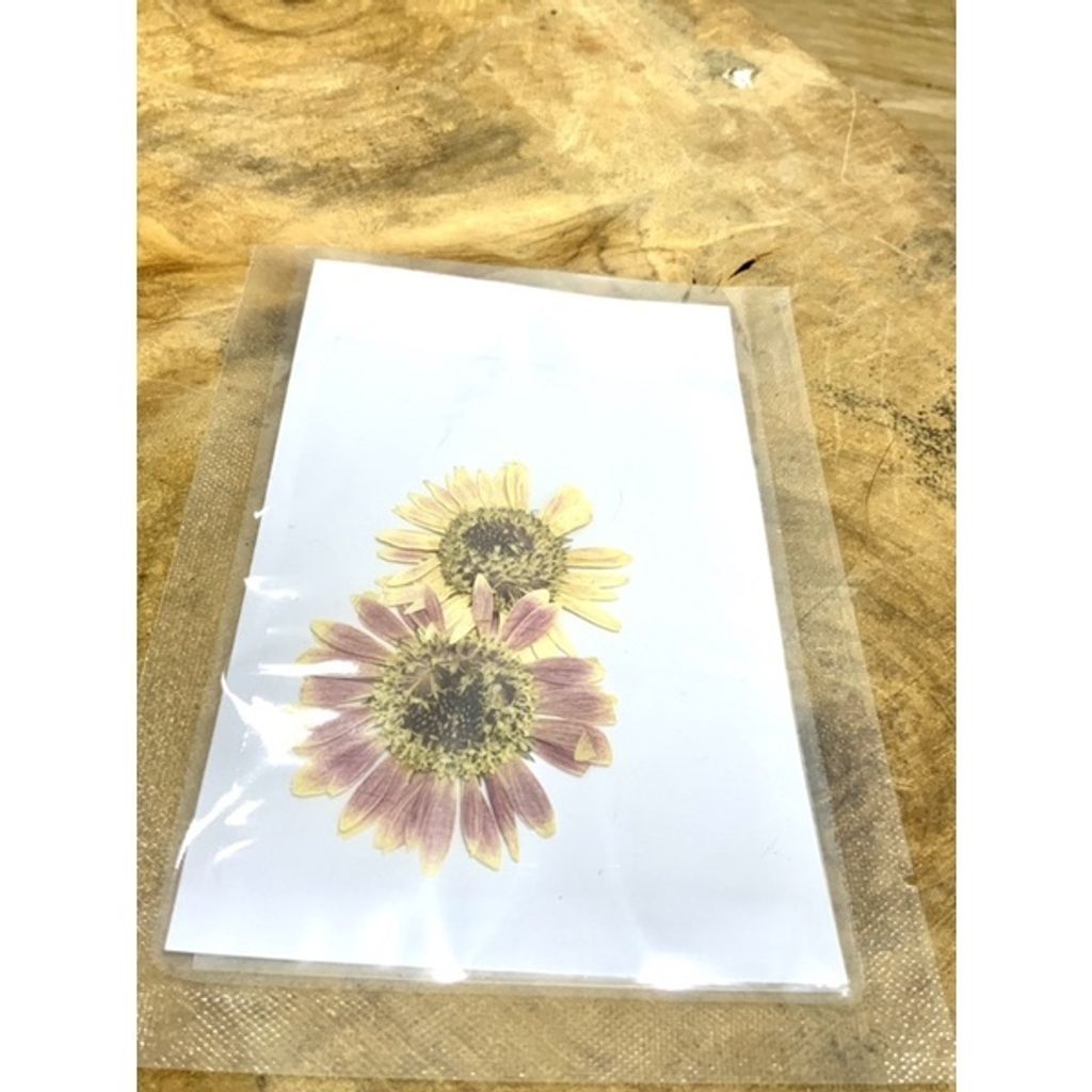 sg-11134201-23010-c077e8ln3omv98