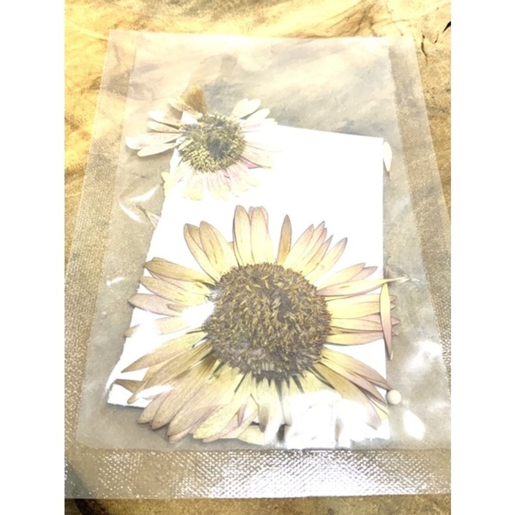 sg-11134201-23010-3lpnqkmn3omv72