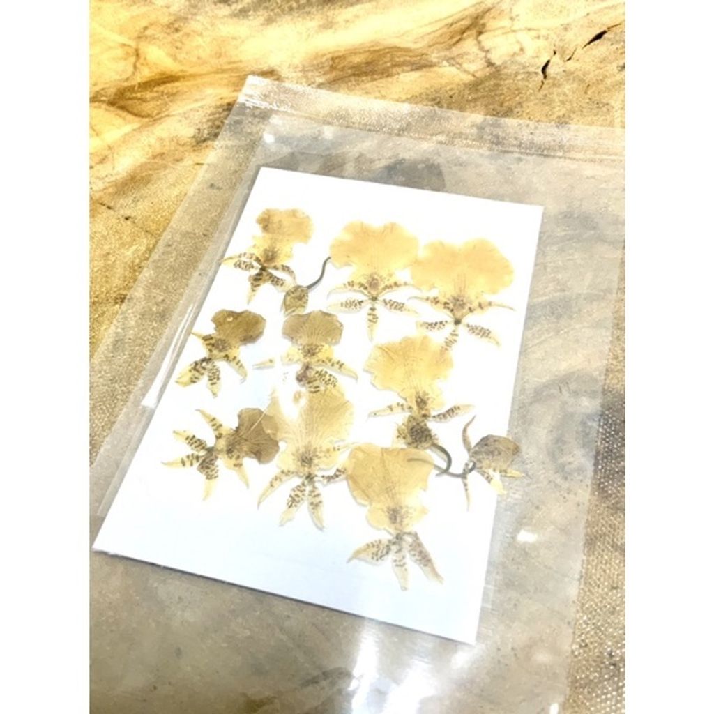 sg-11134201-23010-18ti3nmn3omv78