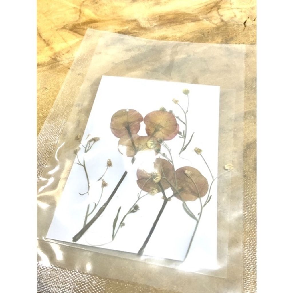 sg-11134201-23010-1wktohmn3omv0f