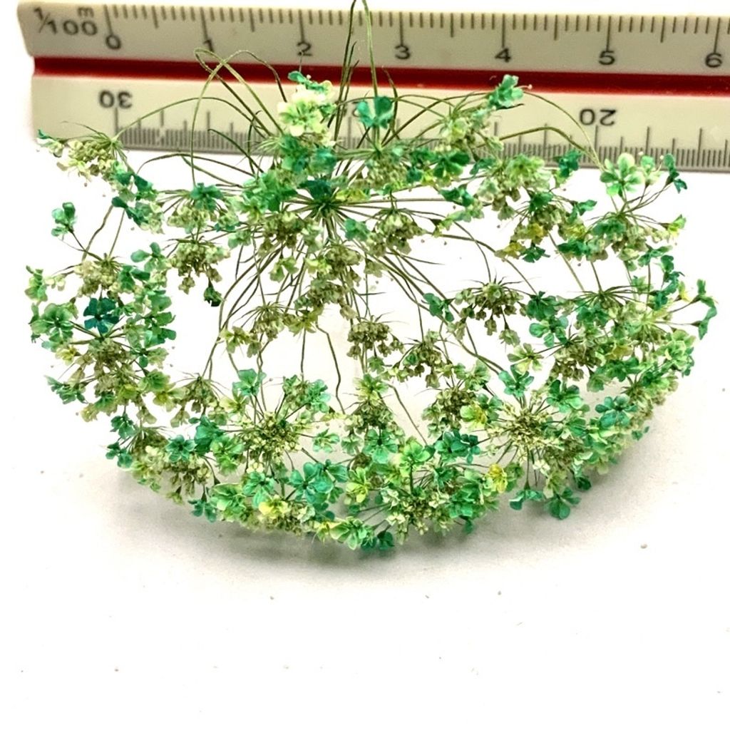 tw-11134201-23030-56y6qs5m4bov02