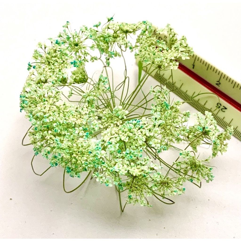 tw-11134201-23030-o6vms65m4bov07