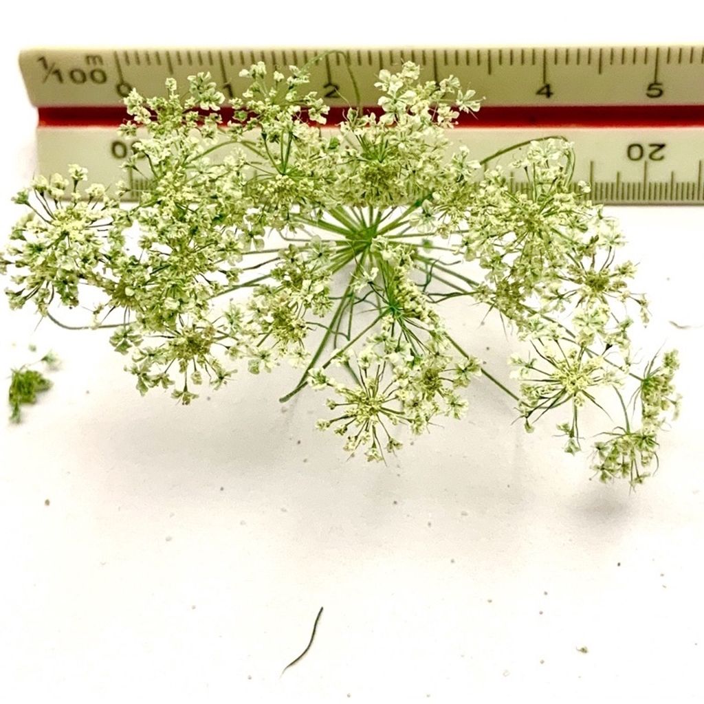 tw-11134201-23030-ax65at5m4bovcd