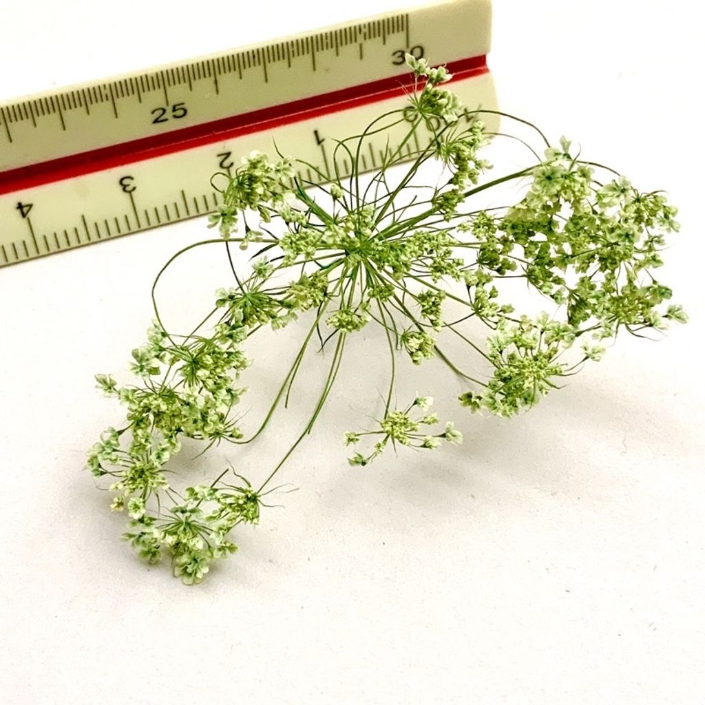 tw-11134201-23030-3azaj36m4bovbe