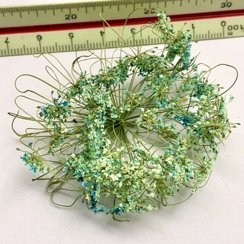 tw-11134201-23030-usnzhe3n4bovf1