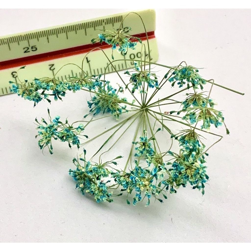 tw-11134201-23030-sg80va7n4bov02