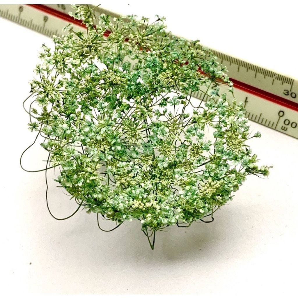 tw-11134201-23030-s52l5ovg4bov48