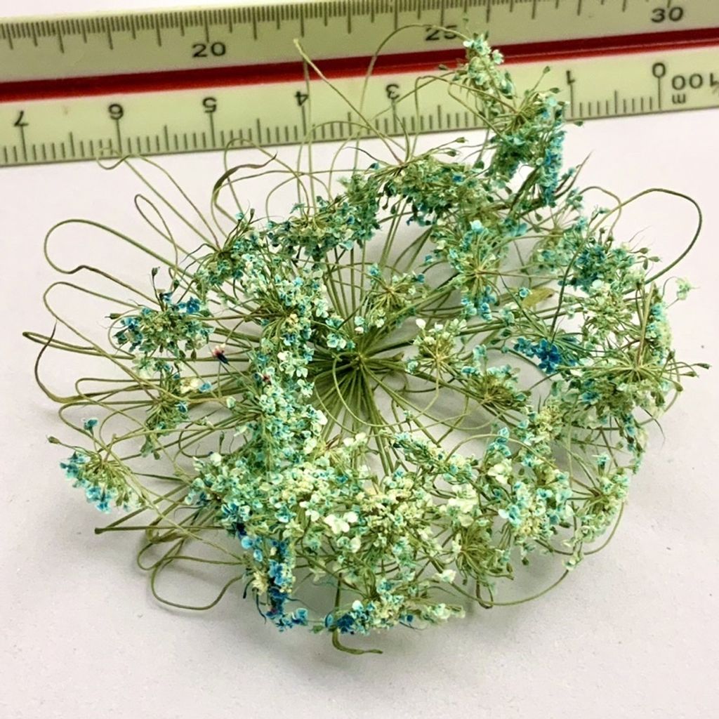 tw-11134201-23030-331i9pvg4bovba