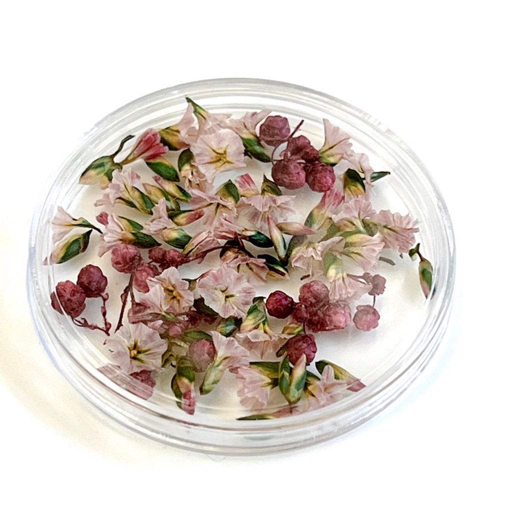 tw-11134207-7qul4-lgvoxmx2xp2kdb